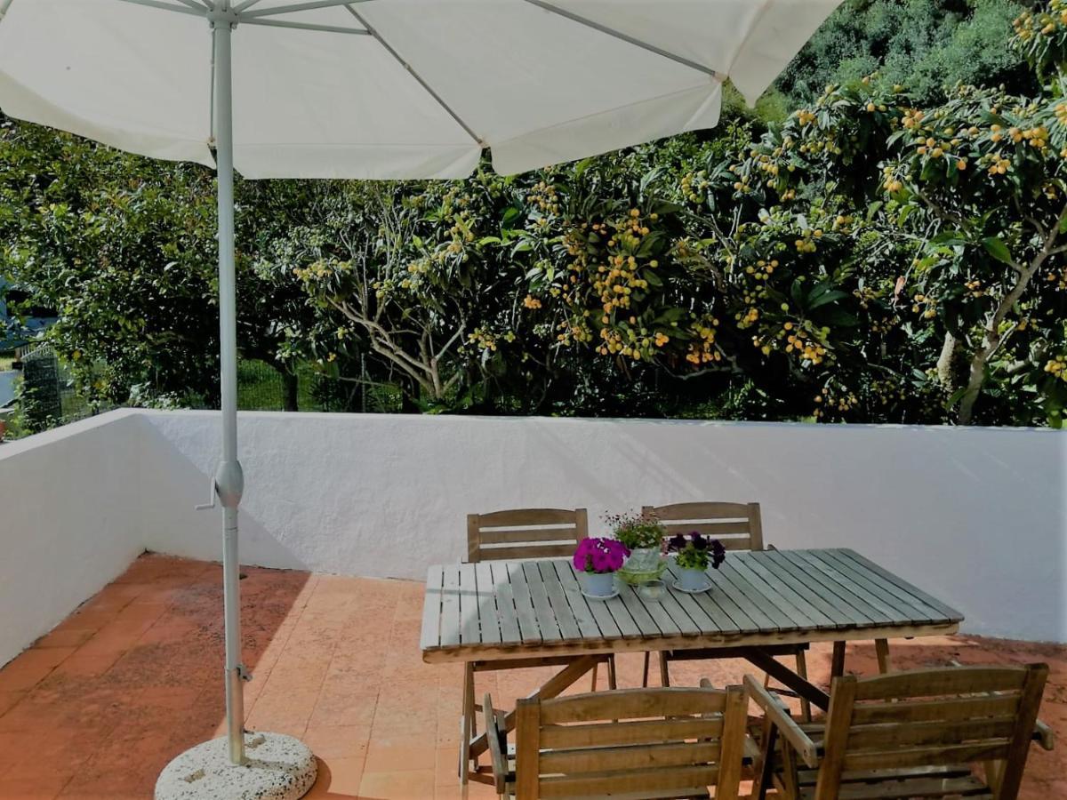 Cala Vinagra House קרלופורטה מראה חיצוני תמונה